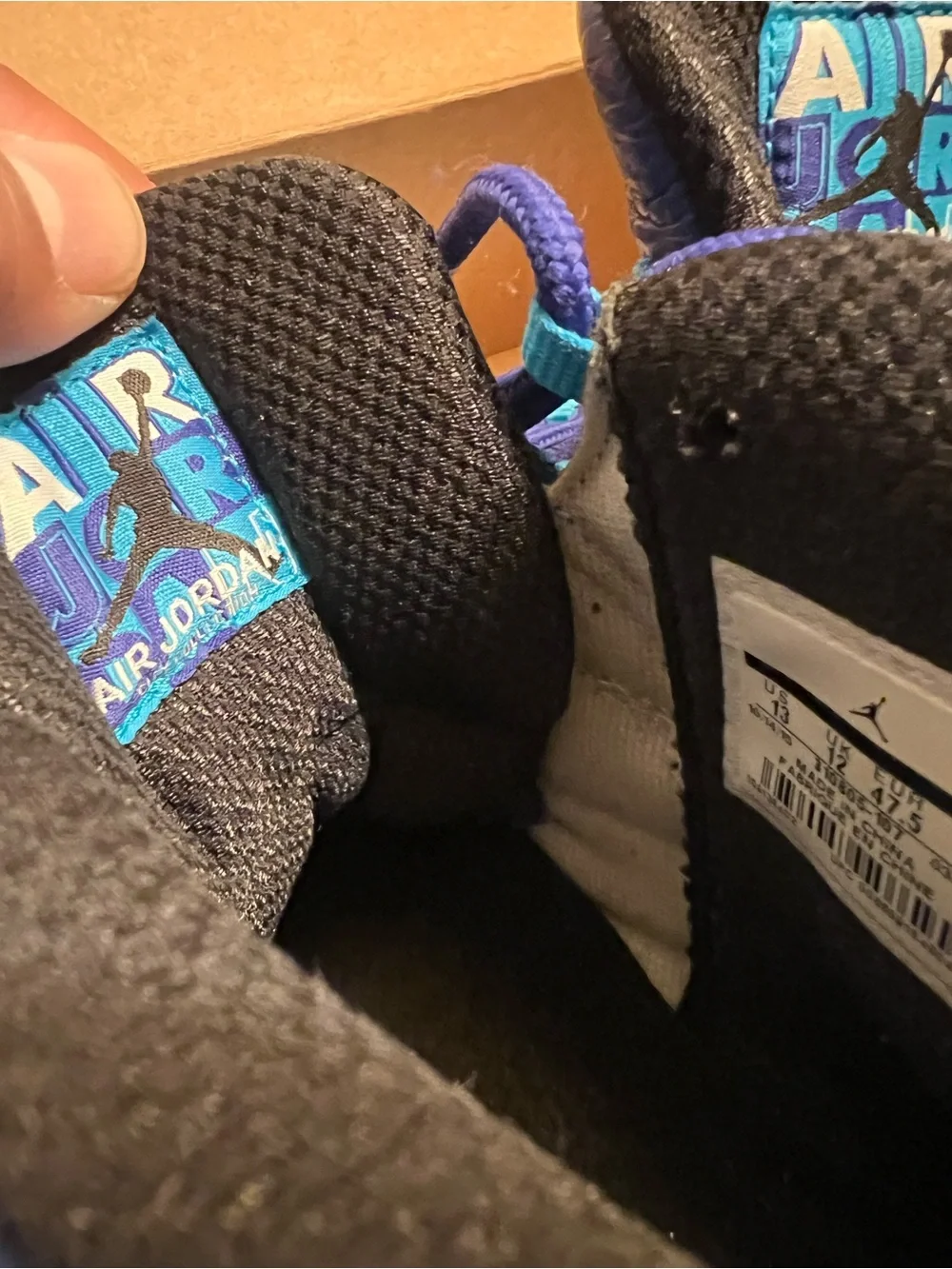 Nike Jordan 10 City Edition-Charlotte Hornets Mens 13